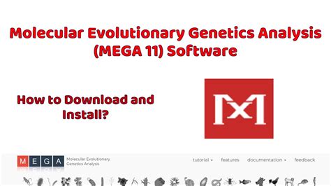 mega 11 software download.